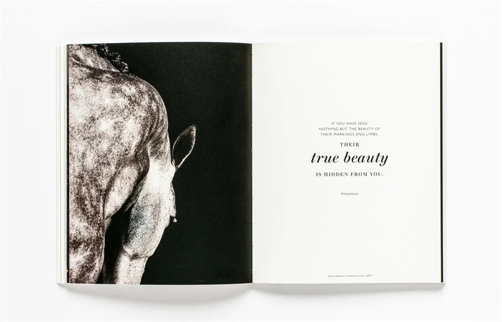 The Book of the Horse: Horses in Art (The Book of: Animals in Art)
