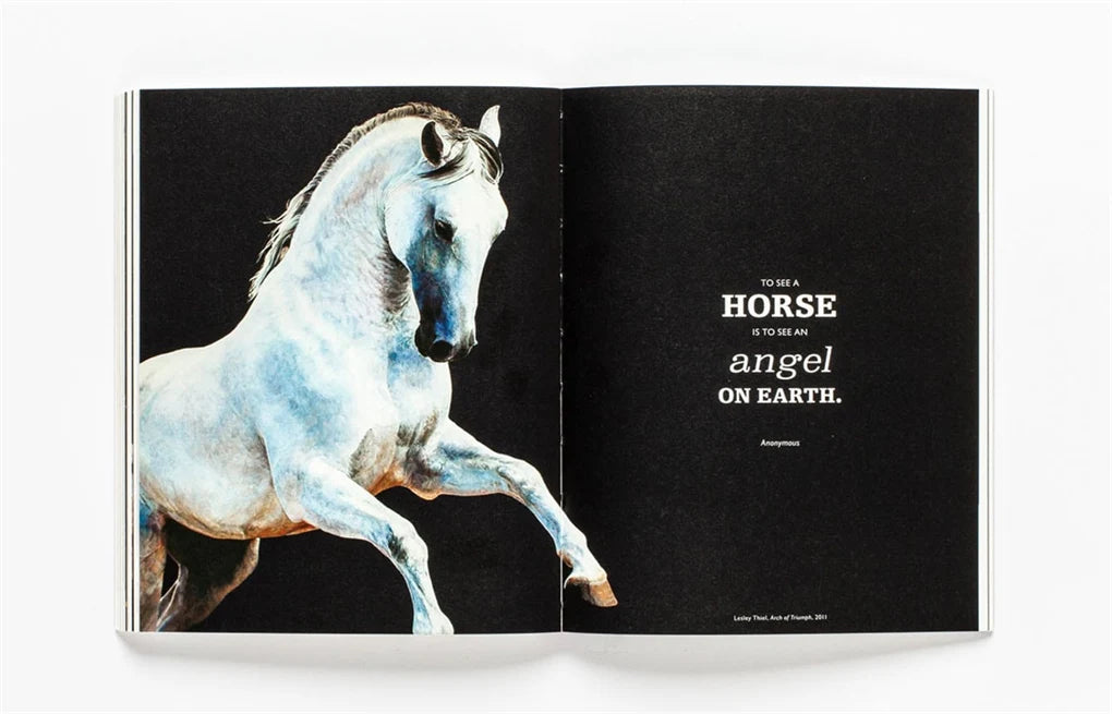 The Book of the Horse: Horses in Art (The Book of: Animals in Art)