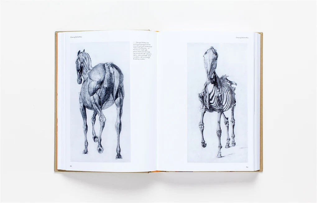 Sensations: The Story of British Art from Hogarth to Banksy (Hardcover)