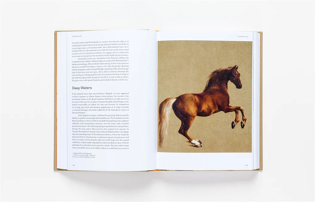 Sensations: The Story of British Art from Hogarth to Banksy (Hardcover)