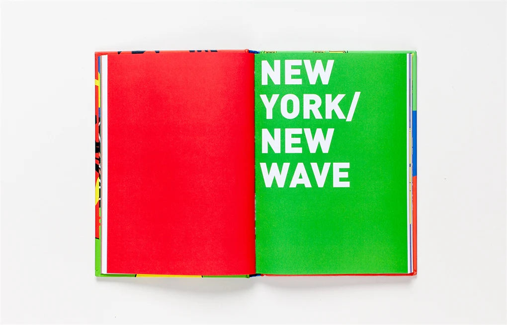 Basquiat: A Graphic Novel (Hardback)