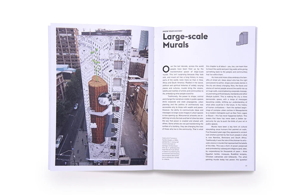 The Street Art Manual (Flexibound)