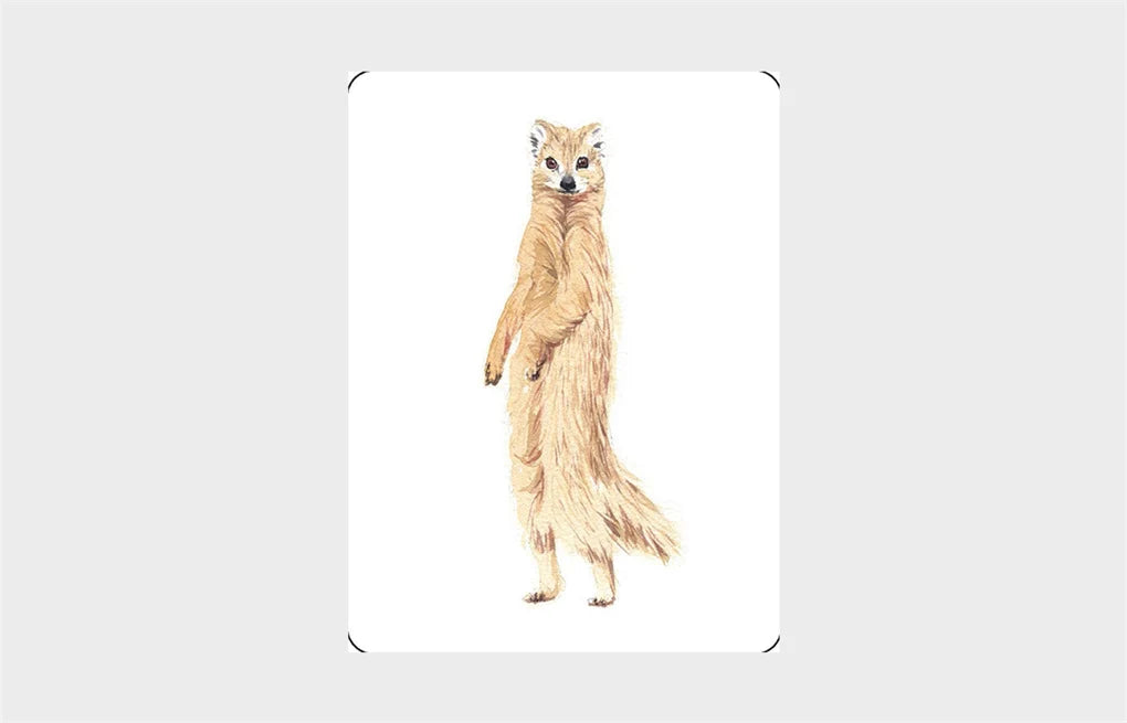 You Callin' Me a Cheetah? (Psst! I'm a Leopard!) - An Animal Memory Game