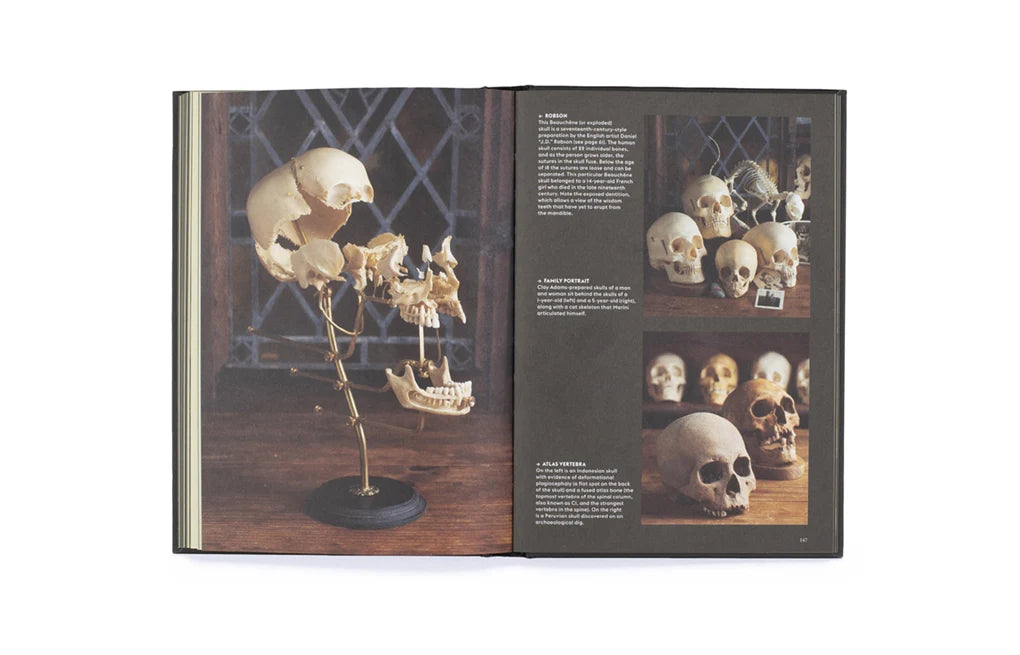 Skulls: Portraits of the Dead and the Stories They Tell (Hardback)