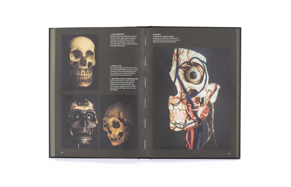 Skulls: Portraits of the Dead and the Stories They Tell (Hardback)