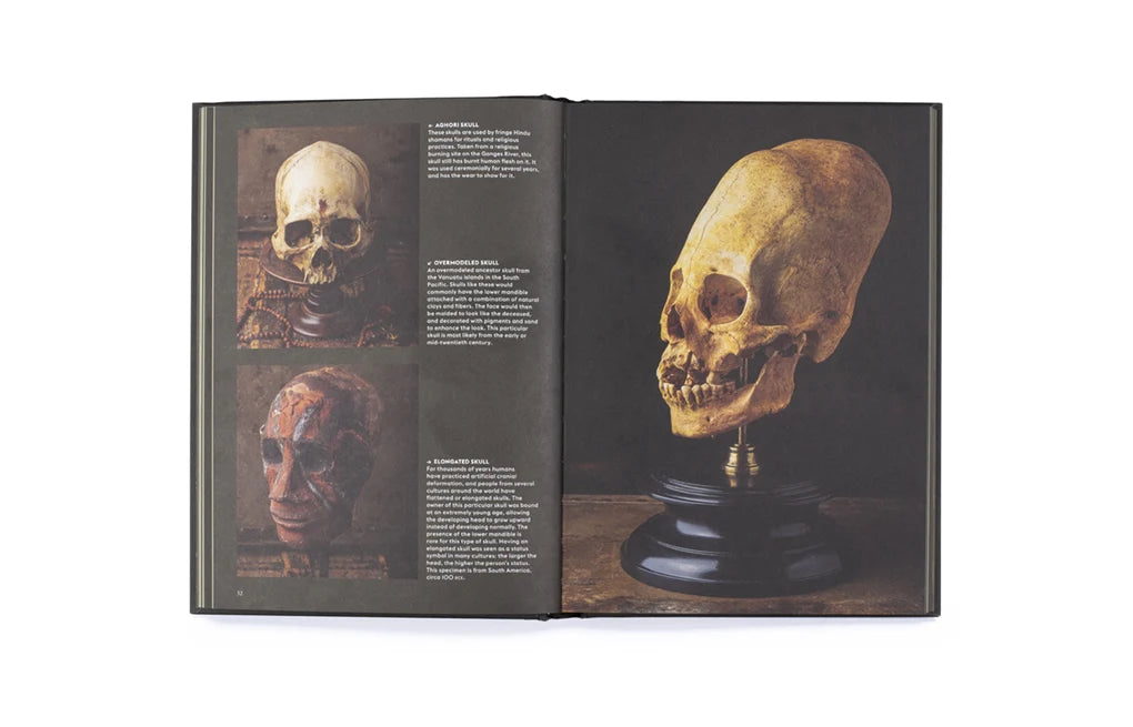 Skulls: Portraits of the Dead and the Stories They Tell (Hardback)