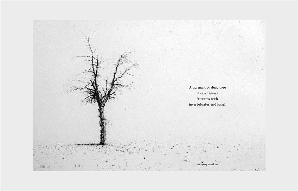 The Book of the Tree: Trees in Art