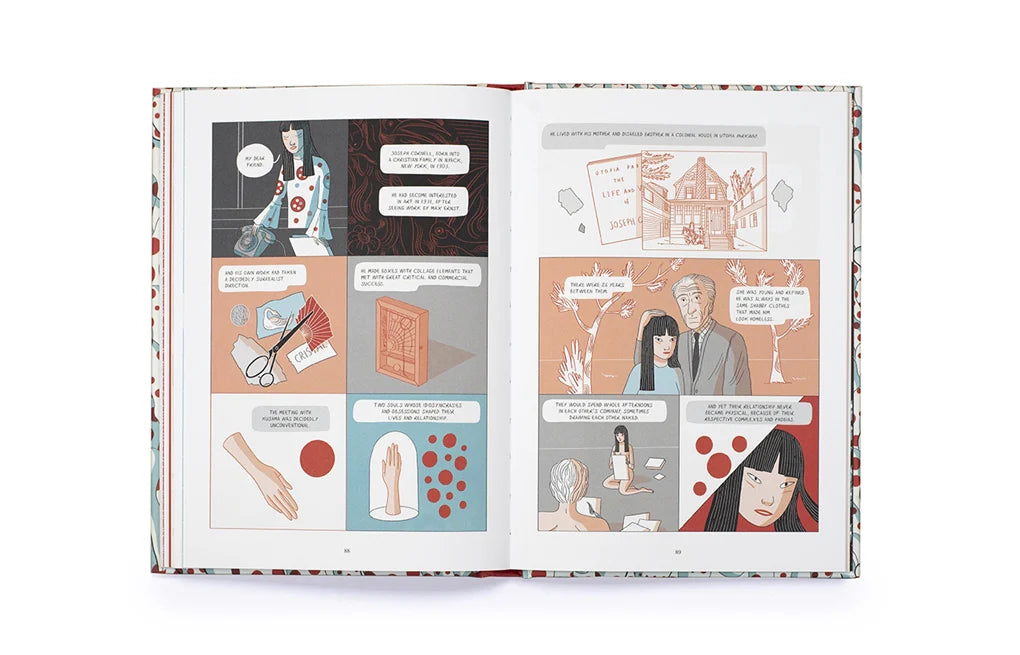 Kusama: The Graphic Novel (Graphic Lives) Hardcover