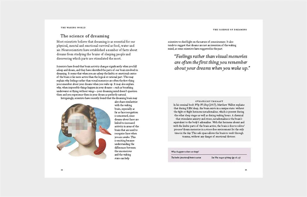 Night Vision: A Field Guide to Your Dreams (Hardback)