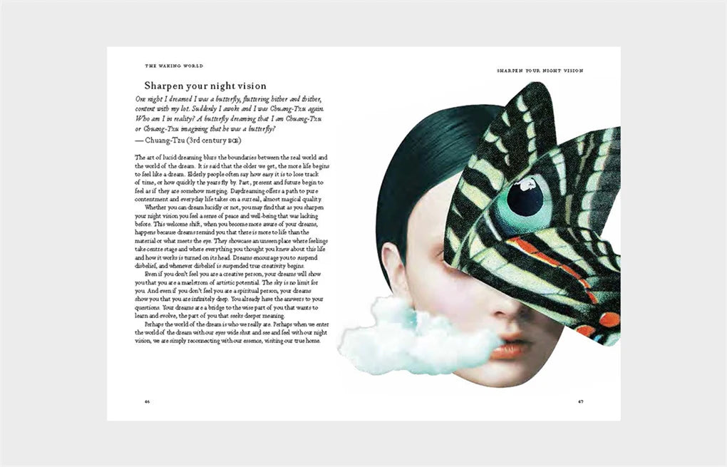 Night Vision: A Field Guide to Your Dreams (Hardback)