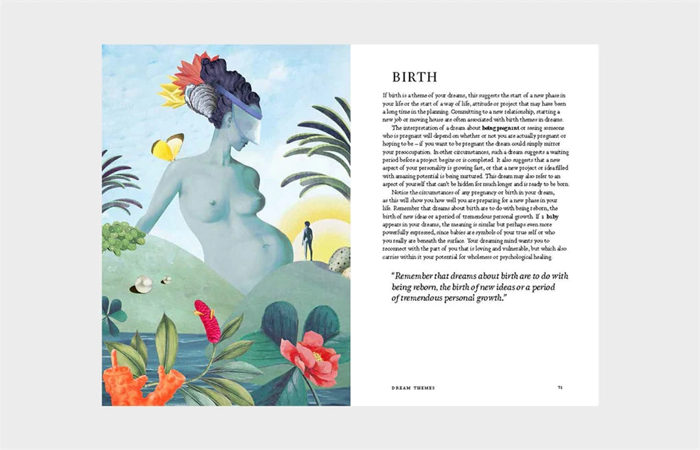 Night Vision: A Field Guide to Your Dreams (Hardback)