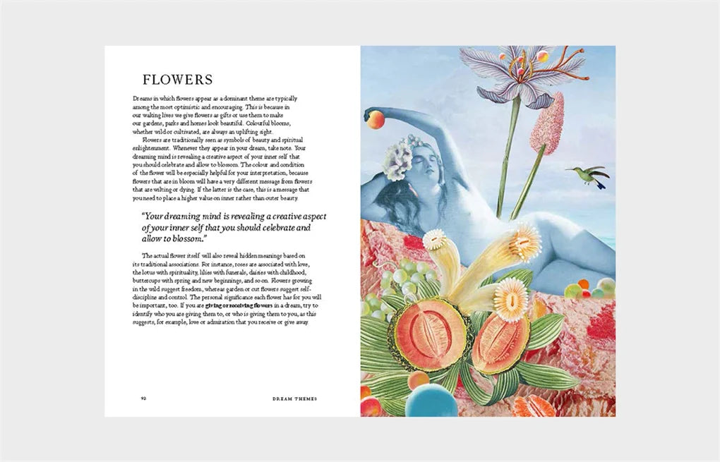 Night Vision: A Field Guide to Your Dreams (Hardback)