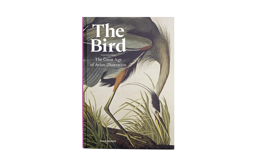 The Bird: The Great Age of Avian Illustration (Hardback)