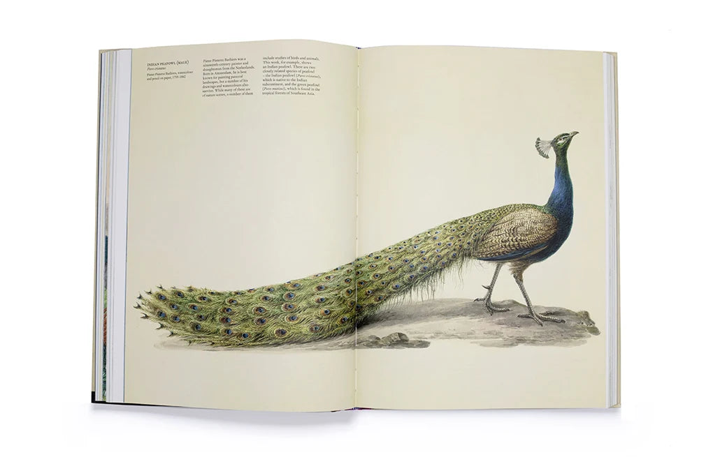 The Bird: The Great Age of Avian Illustration (Hardback)