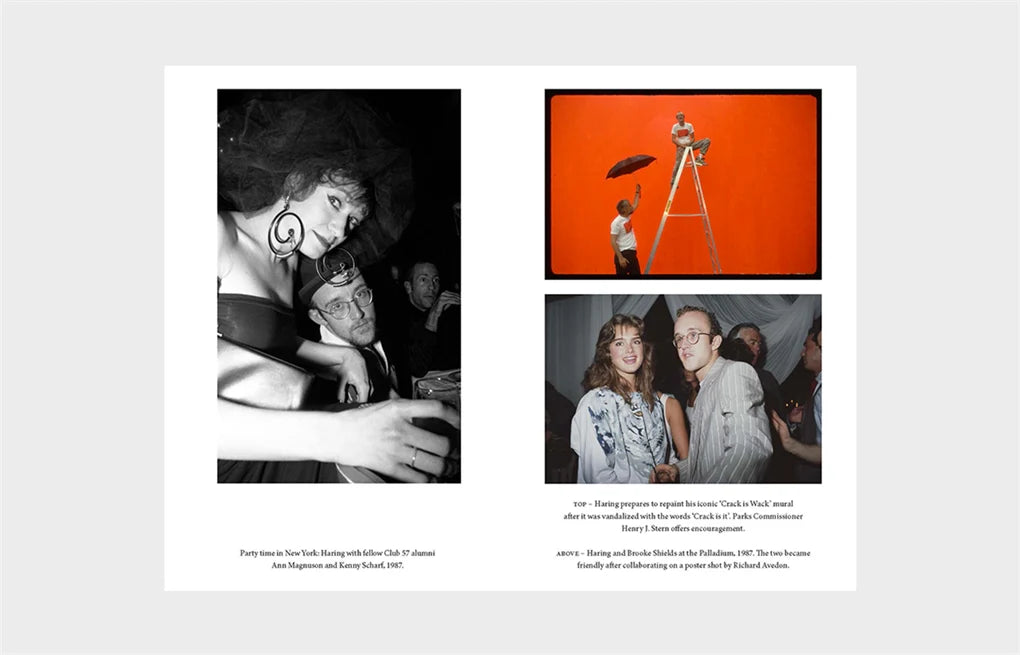 Keith Haring - Lives of the Artists (Hardback)