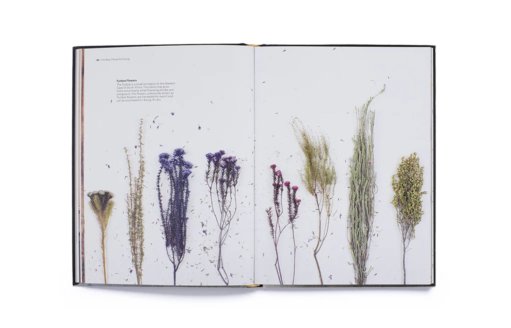 Cut & Dry: The Modern Guide to Dried Flowers from Growing to Styling (Hardback)