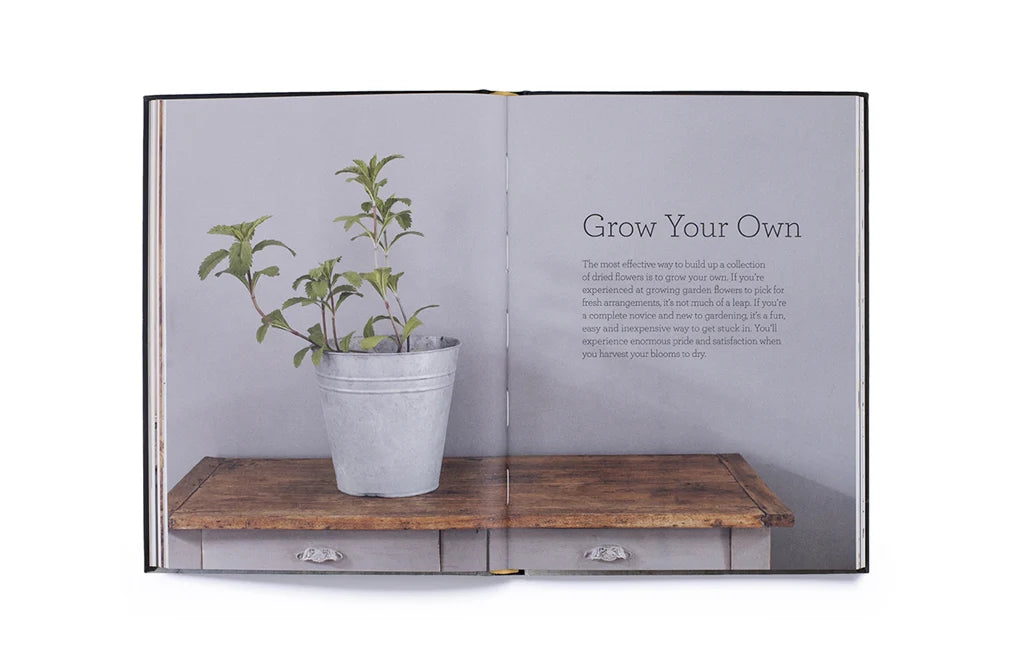 Cut & Dry: The Modern Guide to Dried Flowers from Growing to Styling (Hardback)