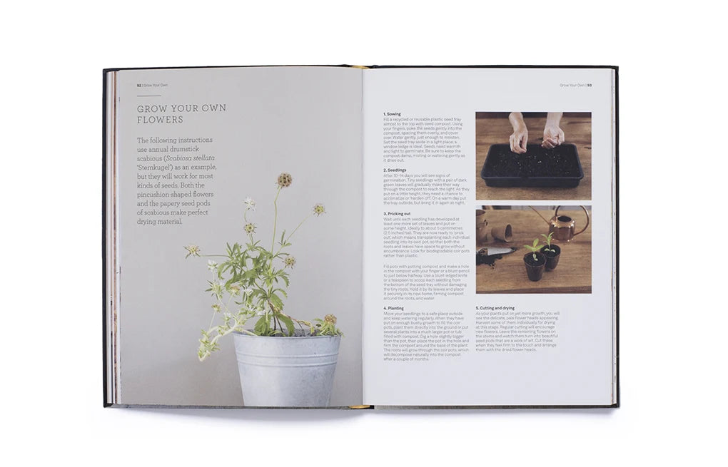 Cut & Dry: The Modern Guide to Dried Flowers from Growing to Styling (Hardback)