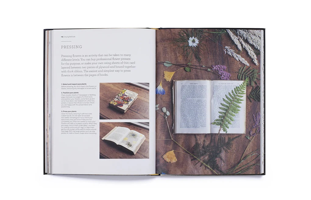 Cut & Dry: The Modern Guide to Dried Flowers from Growing to Styling (Hardback)