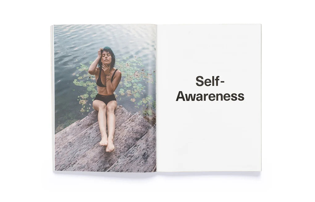 Take Your Selfie Seriously: The Advanced Selfie and Self-Portrait Handbook (Paperback)