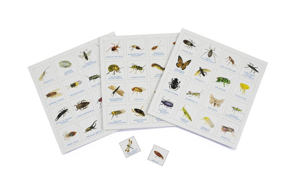 Bug Bingo