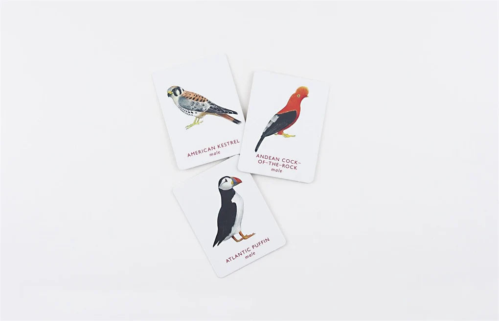 Match a Pair of Birds - A Memory Game