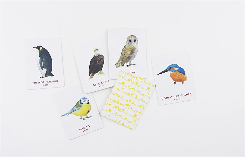 Match a Pair of Birds - A Memory Game