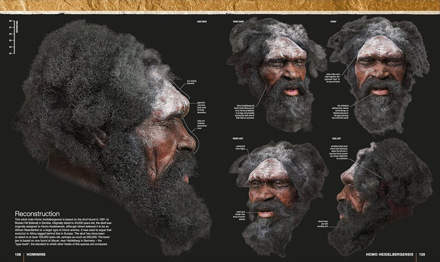 Evolution: The Human Story (Hardback)
