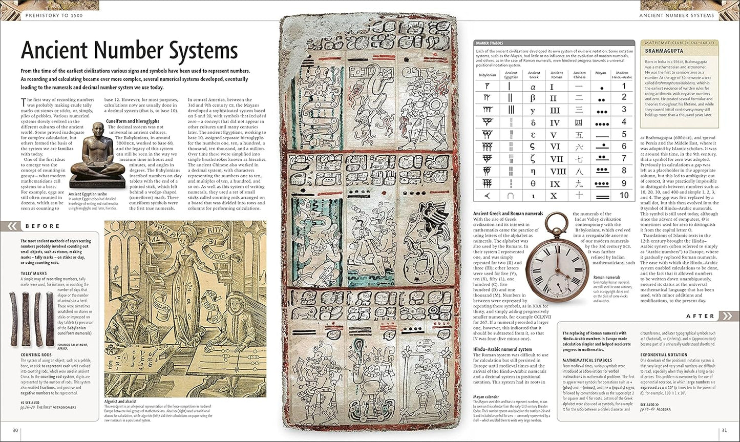 Science: The Definitive Visual Guide - DK Definitive Visual Encyclopedias (Hardback)