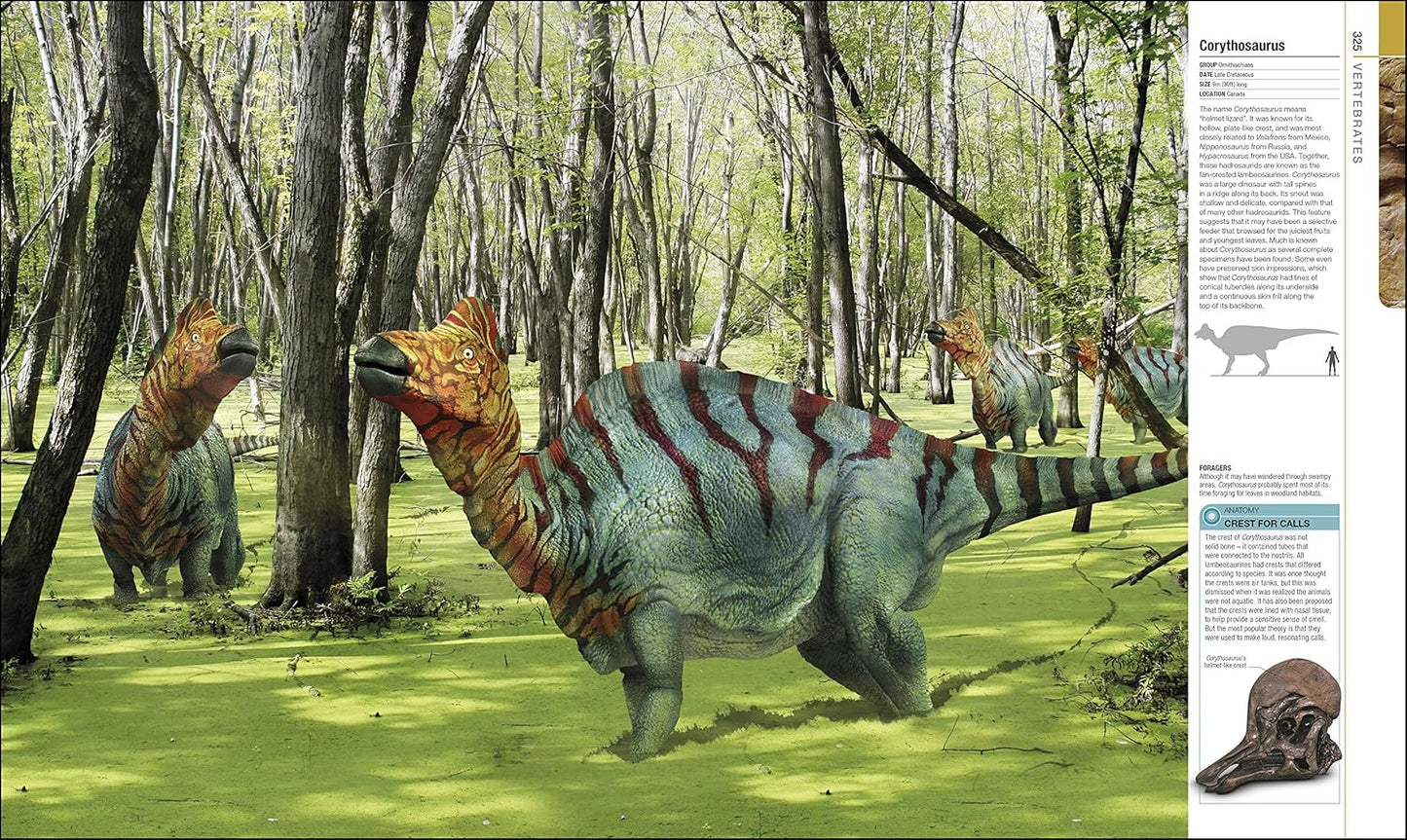 Dinosaurs and Prehistoric Life: The Definitive Visual Guide to Prehistoric Animals - DK Definitive Visual Encyclopedias (Hardback)