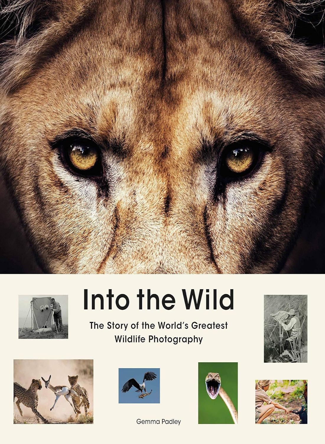 Into the Wild: The Story of the World's Greatest Wildlife Photography (Hardback)