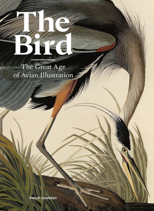 The Bird: The Great Age of Avian Illustration (Hardback)