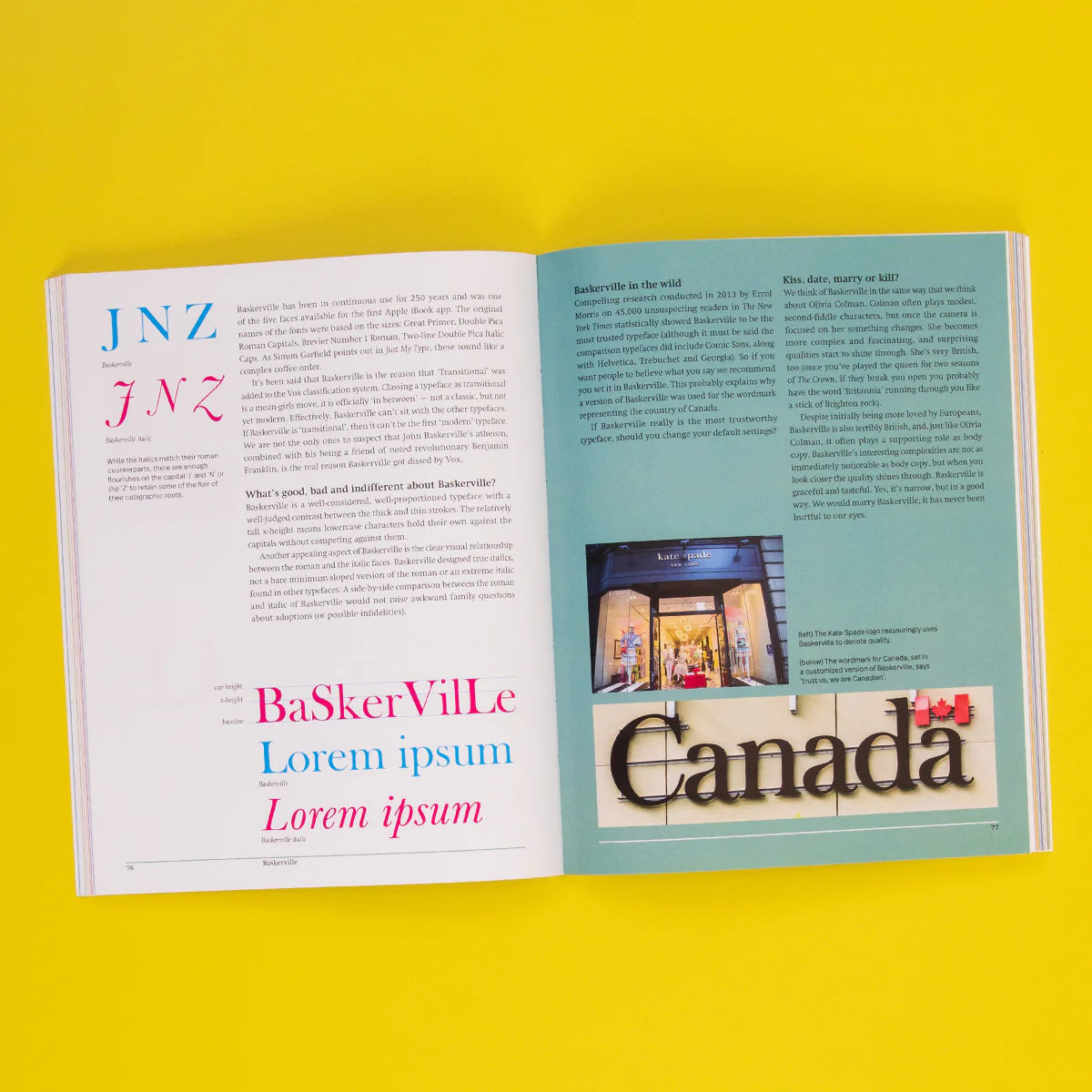 Back to Font: Behind the Typefaces You Thought You Knew (Paperback)