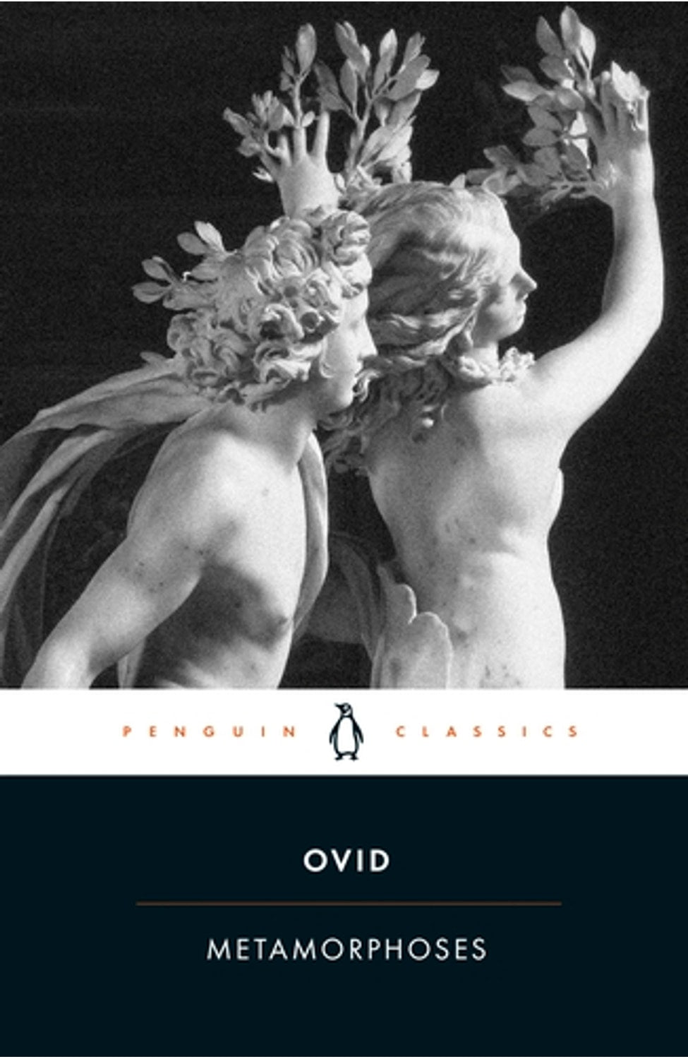 Metamorphoses By Ovid cover
