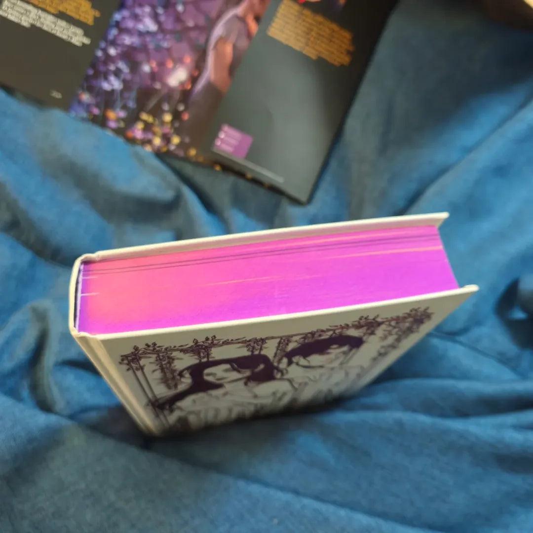 The Prison Healer Fairyloot edition by Lynette Noni