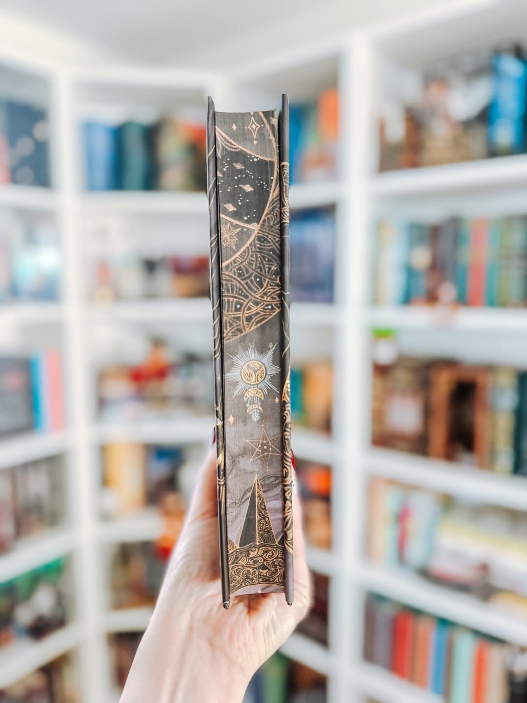 Fallen City By Adrienne Young Fairyloot edition
