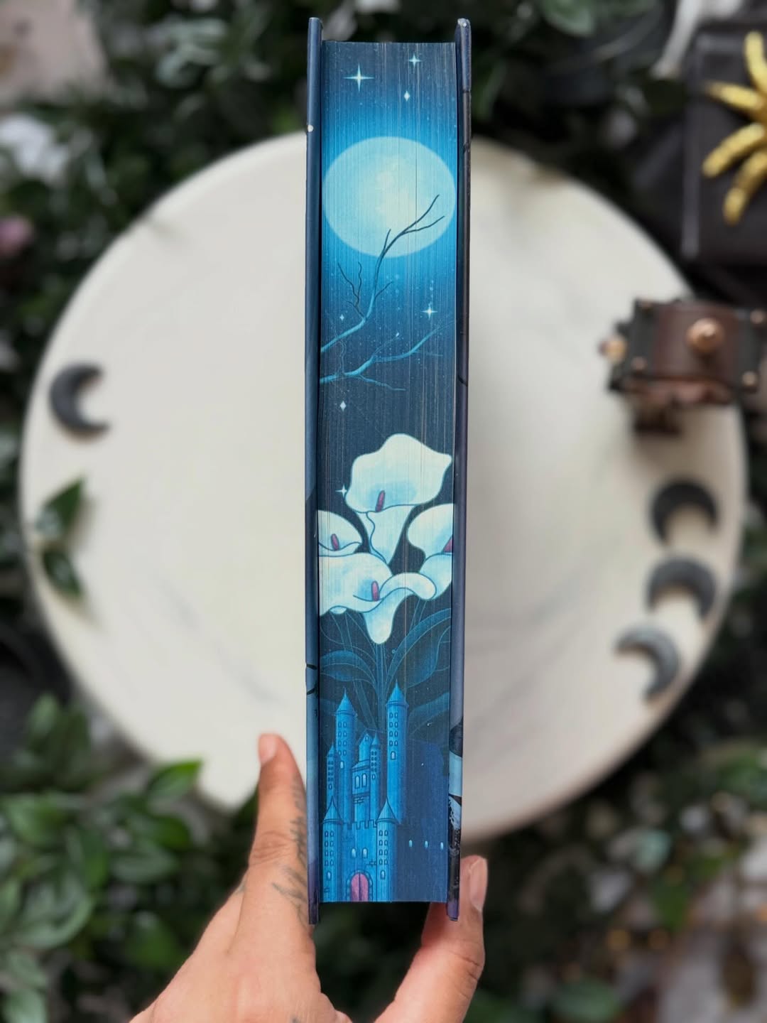 Enigma Fairyloot edition