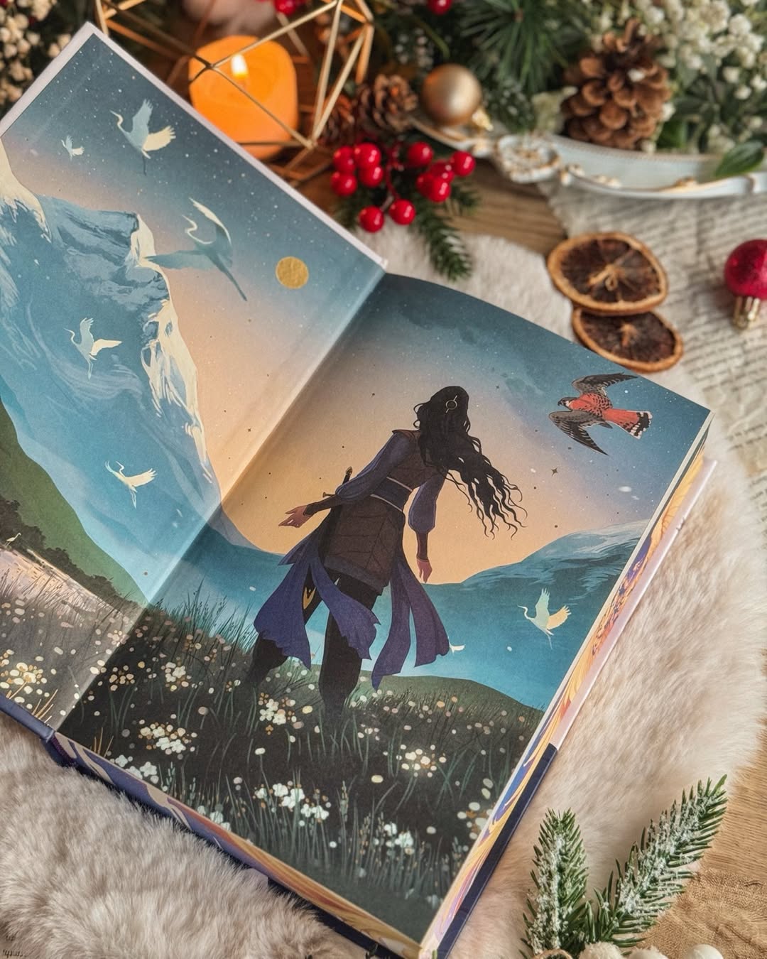 Dawn of the Firebird By Sarah Mughal Rana Fairyloot edition