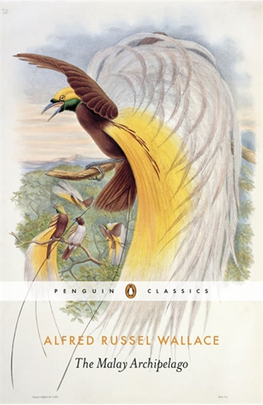 The Malay Archipelago By Alfred Russel Wallace cover