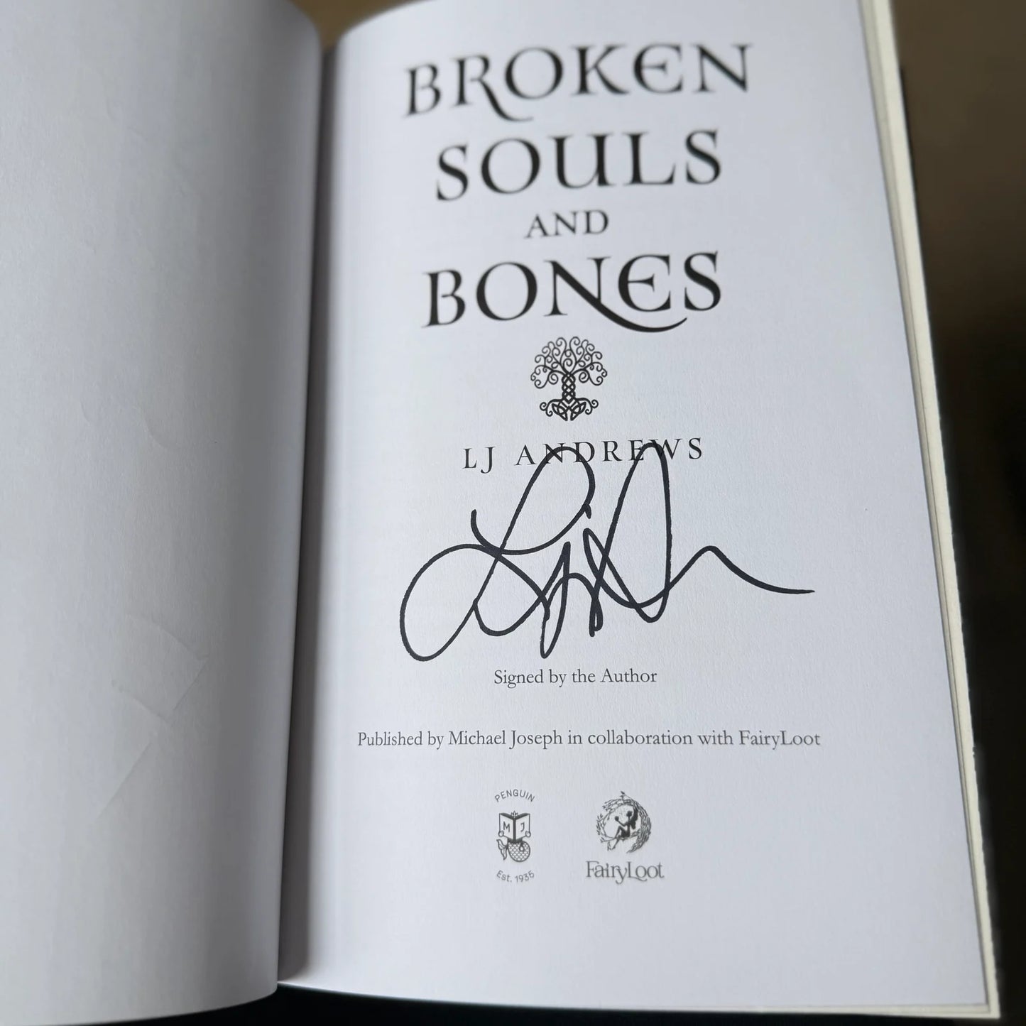Broken Souls and Bones Fairyloot edition