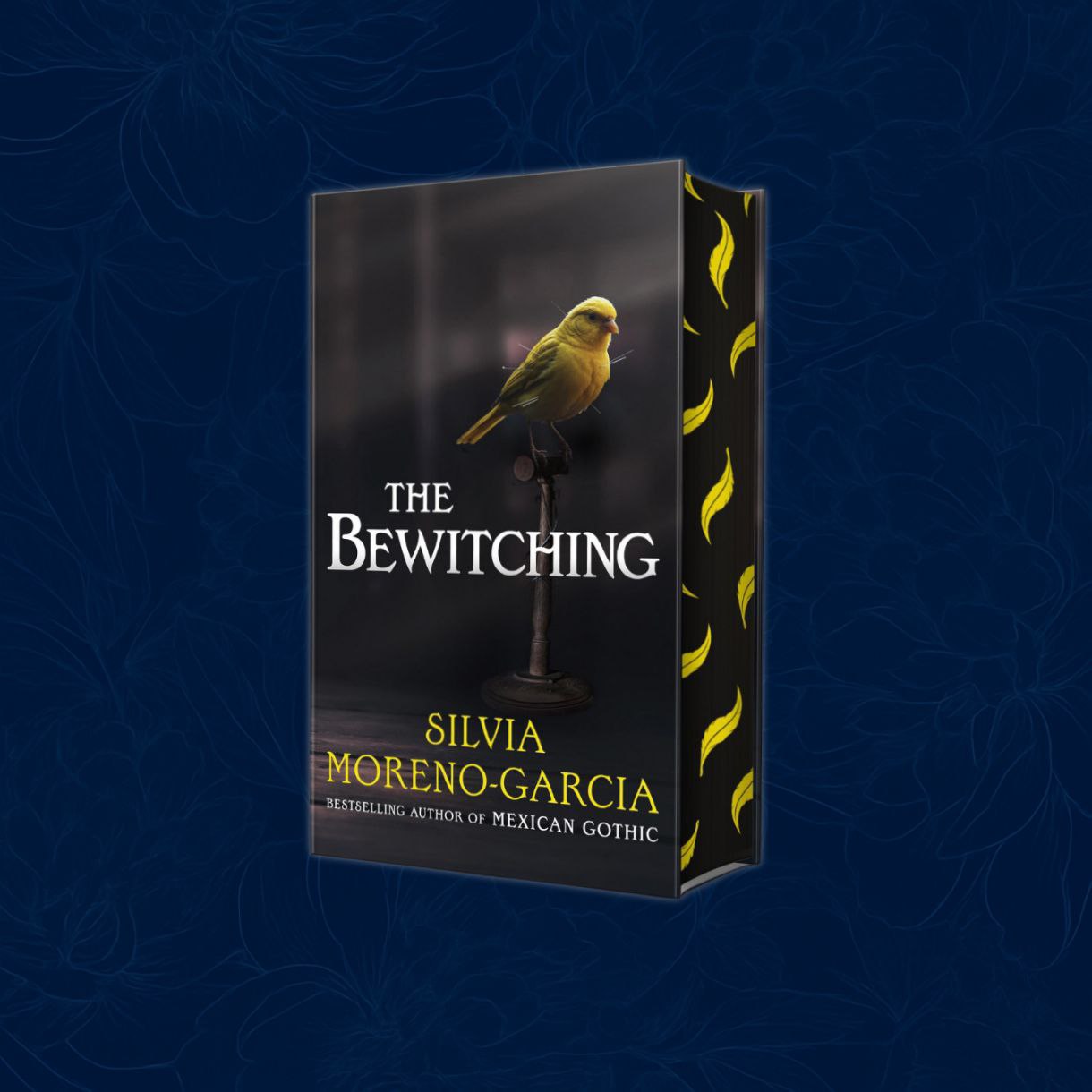 The Bewitching: Signed Edition (Hardback)