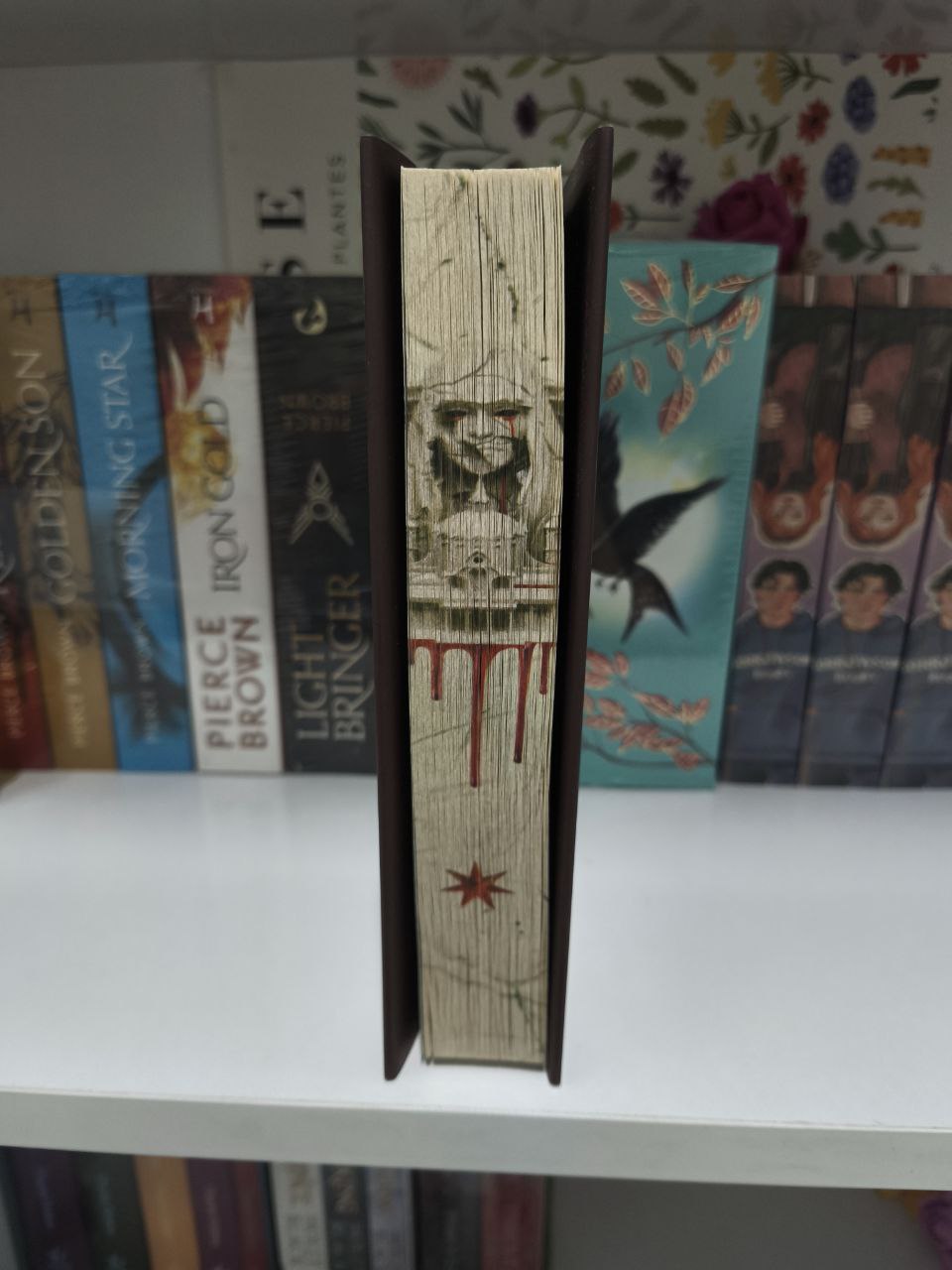 Seven Faceless Saints fairyloot edition