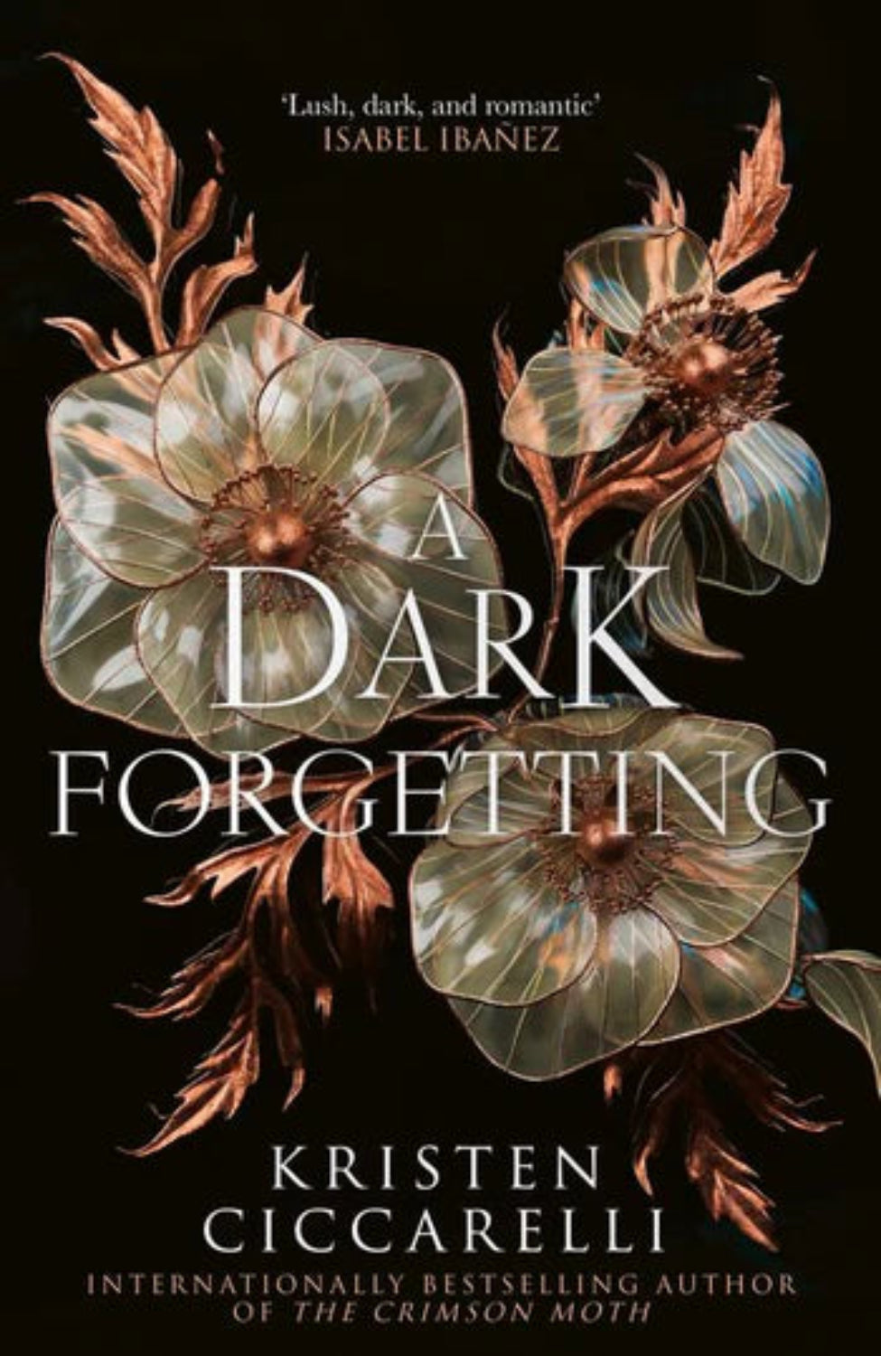A Dark Forgetting By Kristen Ciccarelli (hardback)
